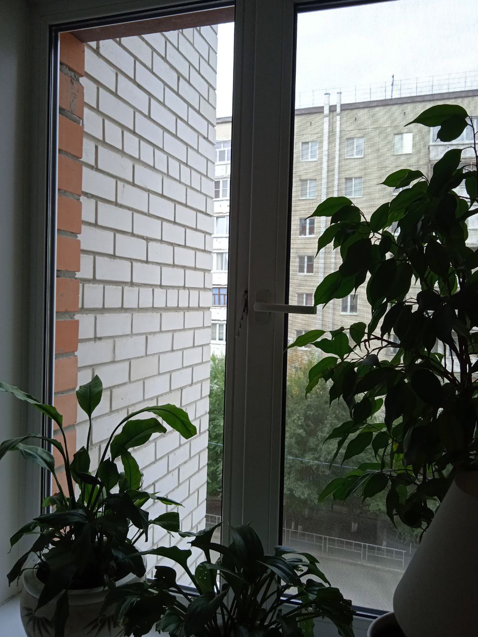 https://bryansk.delaem-okna.ru/storage/app/uploads/public/63f/332/8c0/63f3328c0408d690824237.jpg