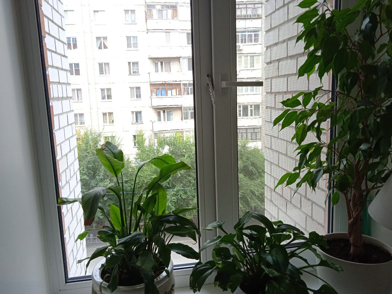 https://bryansk.delaem-okna.ru/storage/app/uploads/public/63f/332/8c0/63f3328c0d6f7867060515.jpg